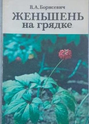 В.а. борисевич  "женьшень на грядке",  "ураджай", минск - 1989 г.96с.12л илл  мягкая  книга присвячена особливостям вирощування «кореня життя» (женьше