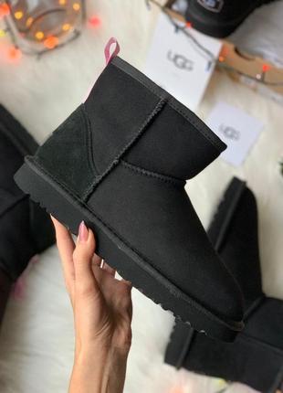 Женские сапоги ugg mini с мехом овчины