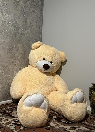 Продам мʼякого ведмедя 🧸