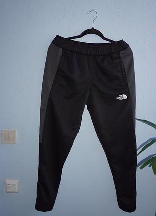 Мужские спортивные штаны the north face