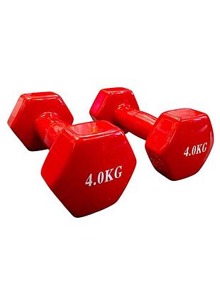 Гантелы 0.5 кг bavar sport (красный) синий