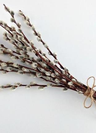 Вербовая лоза (освяченая), 100г master sem