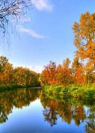 Фотосетка рулонная для забора и беседки, код028