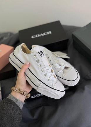 Кеди converse