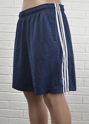 Мужские шорты adidas (m)