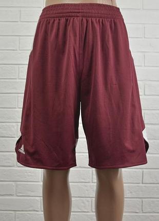 Фирменные мужские шорты adidas (m)
