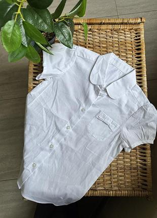 Блузка  на дівчинку