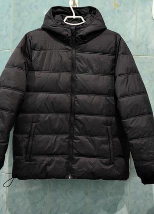 Жіноча куртка calvin klein (m)