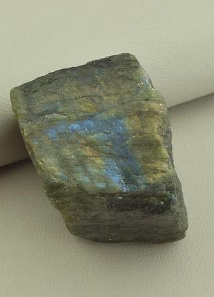 121488 образец лабрадор 50x47мм.