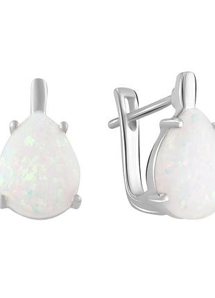 Срібні сережки високої якості з опалом 2.55ct (2085768)