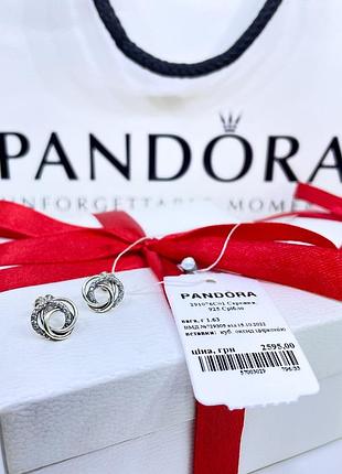 Срібні сережки пандора pandora 291076c01 сім'я завжди кільця з паві коло срібло проба s925 ale нове