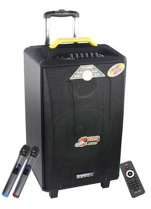 Temeisheng qx-1209 два микрофона, корпус дерево | профессиональная активная акустическая система