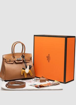 Сумка birkin 25 togo leather crocodile brown/silwer