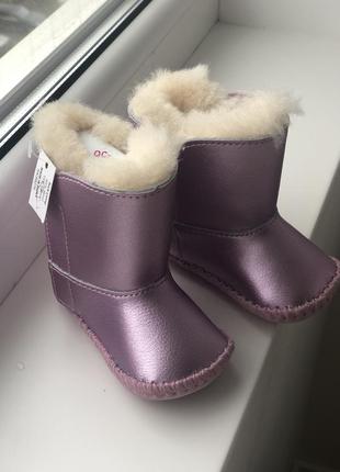 Новые ugg australia 8