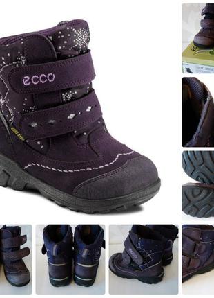Термо ботинки ecco gore-tex