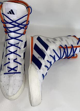Adidas боксерське взуття box hog 4