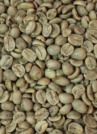 Арабіка гондурас (arabica honduras) 1кг. зелена