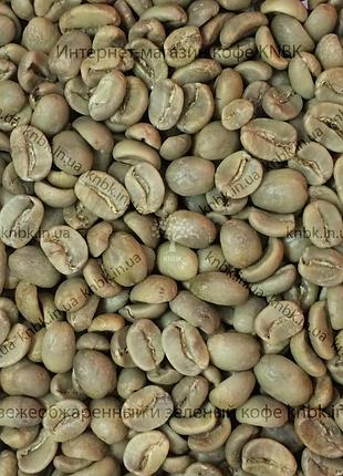 Арабіка гондурас (arabica honduras) 200г. зелена кава