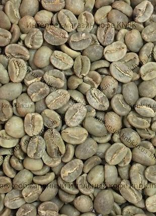 Арабіка колумбія супремо (arabica colombia supremo) 1кг. зелена