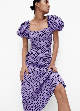 Сукня в горошок zara