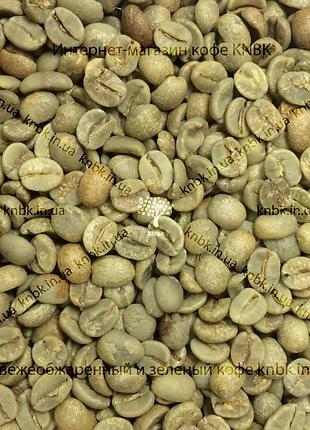 Арабика бразилия сантос (arabica brazil santos) 200г. зеленый кофе