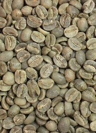 Арабика колумбия супремо (arabica colombia supremo) 500г. зеленый кофе