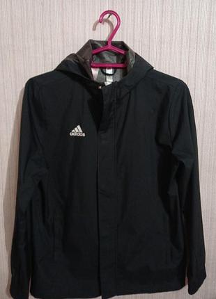 Оригінальна вітровка adidas