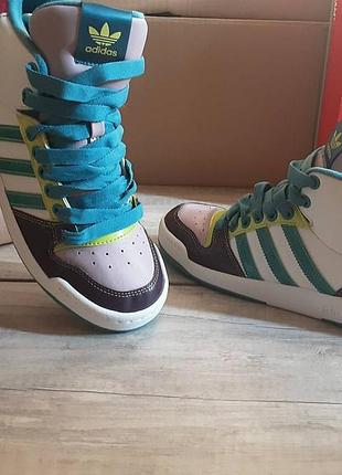 Кросівки adidas p.37