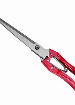 Ножиці для стриження чагарників (овець) professional-wool-shears-sheep знахідка для садівника