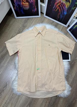 Сорочка чоловіча lacoste
