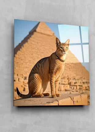 Картина на стекле novellaprint "кот у пирамиды" 50х50см (573.1)