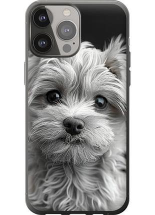 Чехол на iphone 13 pro max мальтипу на черном фоне из силикона fch_0141583