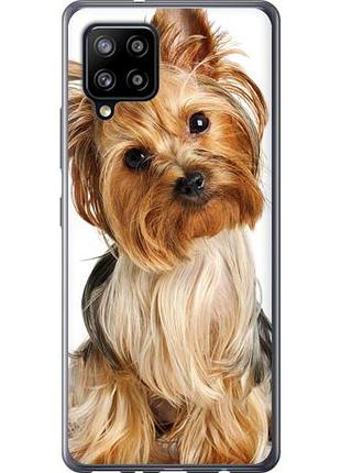 Чехол на samsung galaxy a42 a426b йоркширский терьер с хвостиком из пластика fch_0008605