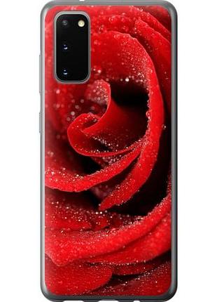 Чехол на samsung galaxy s20 красная роза из силикона fch_0009215