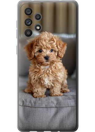 Чехол на samsung galaxy a73 a736b mini-maltipoo из силикона fch_0141106