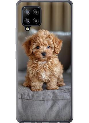 Чохол для samsung galaxy a42 a426b з силікону fch_0141139