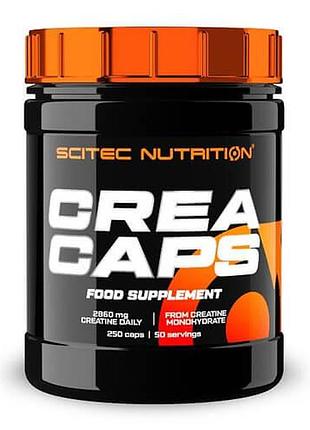 Scitec creatine caps 250 капсул
