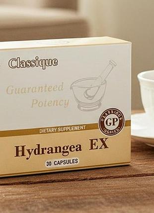 Hydrangea ex/ гортензия сантегра (корень гортензии) - профилактика мочекаменной болезни santegra