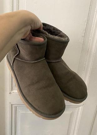 Ботинки ugg  кожа 39 40  фирма