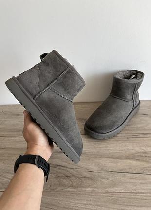 Черевики зимові уггі ugg оригінал