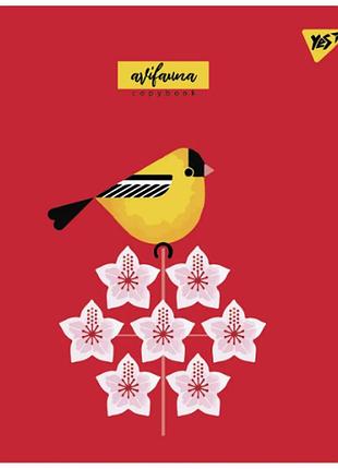 Зошит для записів а5/24 лін. "yes" "avifauna" мат. вдл+уф-виб. 766848, шт