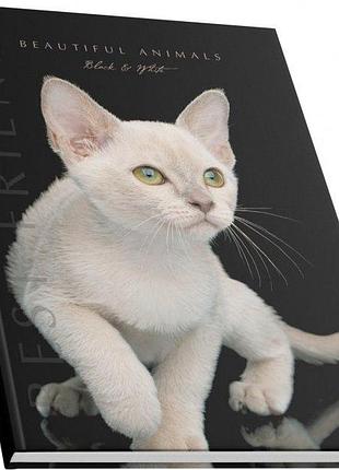 Книга канцелярська а4/192 арк."аркуш""білий кіт" # офсет, тверда обкл., 1в2381, шт