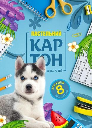 Картон кольоровий односторонній а4/8 арк."мандарин" пастельний в папці, 22114, шт