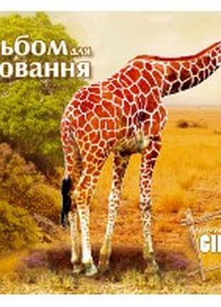 Альбом для малювання "аркуш" скоба 12арк "еко", шт