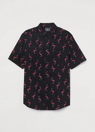 Хлопковая рубашка в фламинго h&amp;m