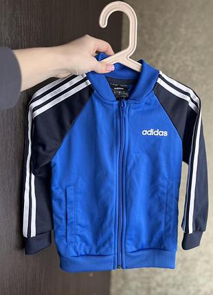 Кофта adidas
