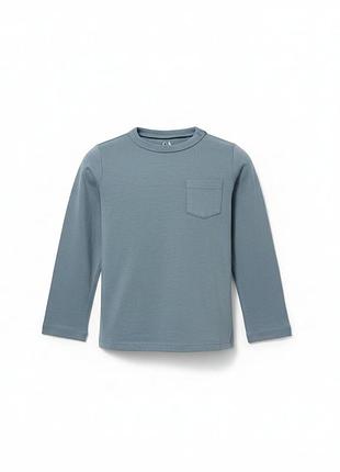 Реглан, лонгслив, футболка с длинным рукавом для мальчика 98 см (2-3 года)