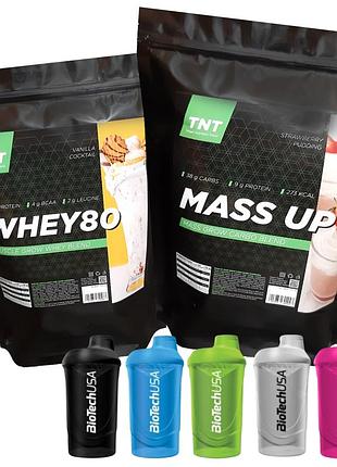 Комплекс на массу : whey protein - 80% белка ( 2 кг ) + gainer mass up ( 2,5 кг ) = шейкер в подарок