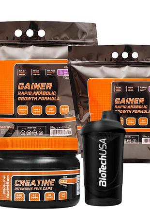 Gainer углеводнобелковый для набора массы ( 6 кг ) + creatine моногидрат для роста мышц ( 150 капс. ) + шейкер