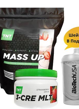 Гейнер mass up ( 2,5 кг ) для швидкого та ефективного набору маси тіла + креатин ( 0,3 кг ) + шейкер